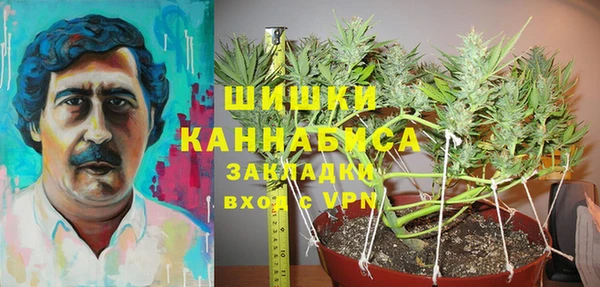 spice Алексин
