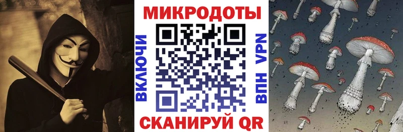 Псилоцибиновые грибы мицелий  Яблоновский 